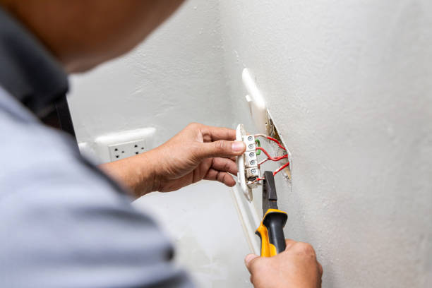 Best Local Electrician Companies  in Riverview, FL