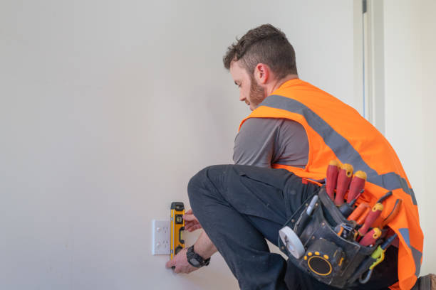 Best Electric Panel Repair  in Riverview, FL
